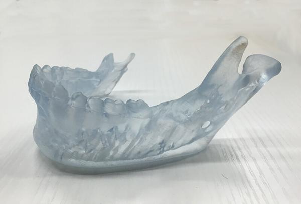 Parte dental de los dientes