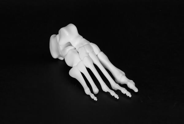 Esqueleto de pie